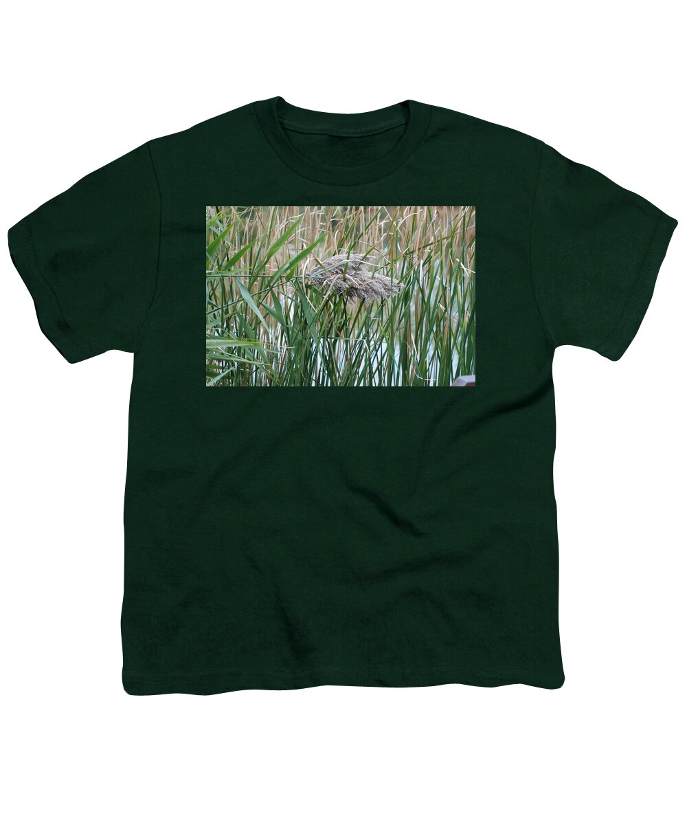  Youth T-Shirt featuring the photograph Autumn Transition 196 by Ee Photography