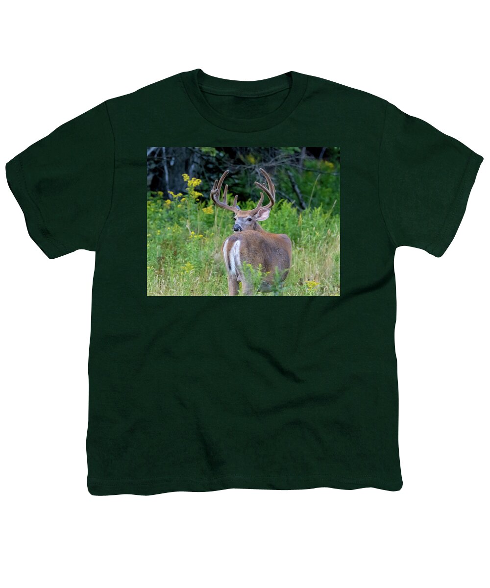 Buck Youth T-Shirt featuring the photograph Buck at Hunter Cove by Scene by Dewey