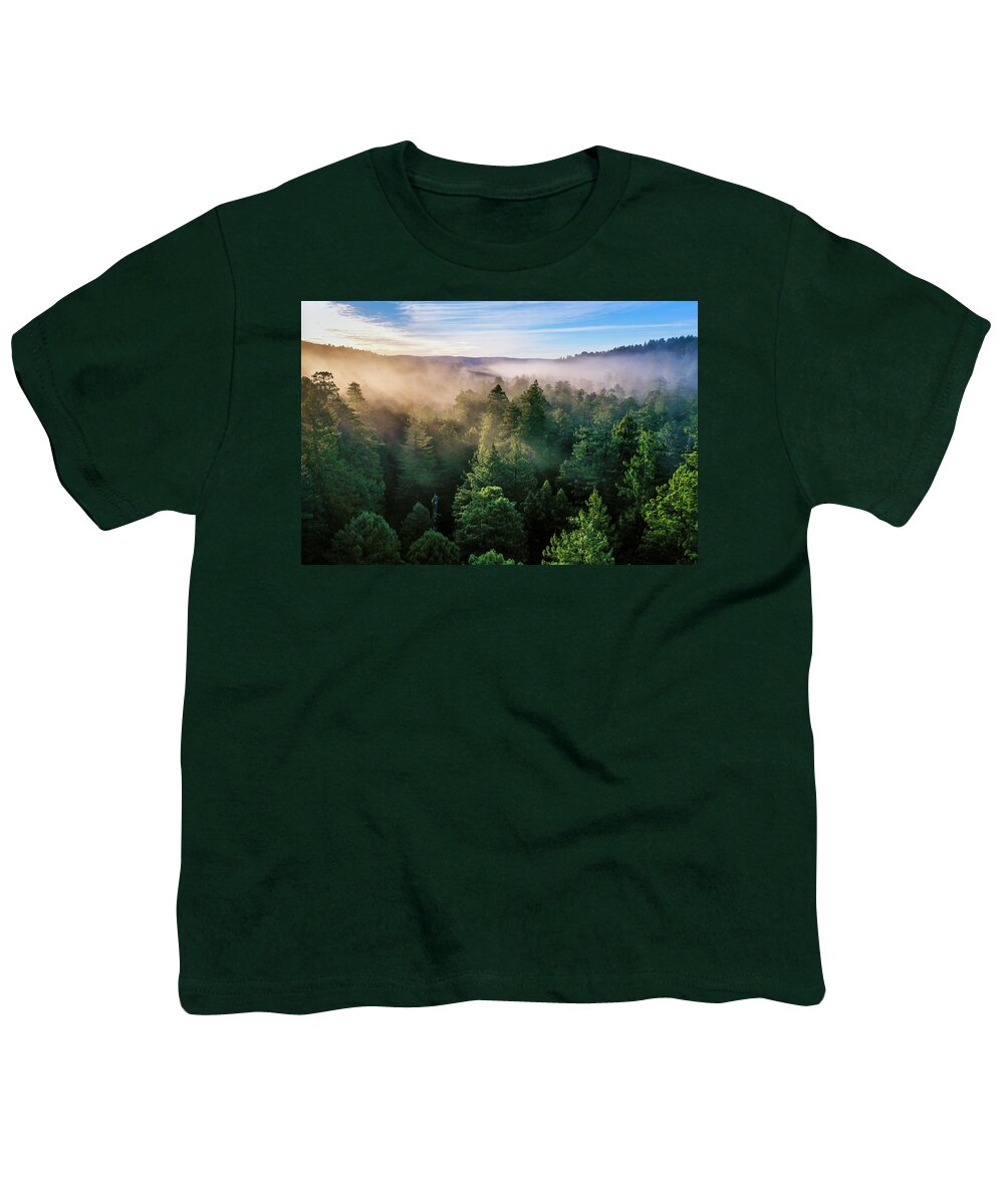 Sebastian Kennerknecht Youth T-Shirt featuring the photograph Coast Redwood Forest At Sunrise by Sebastian Kennerknecht