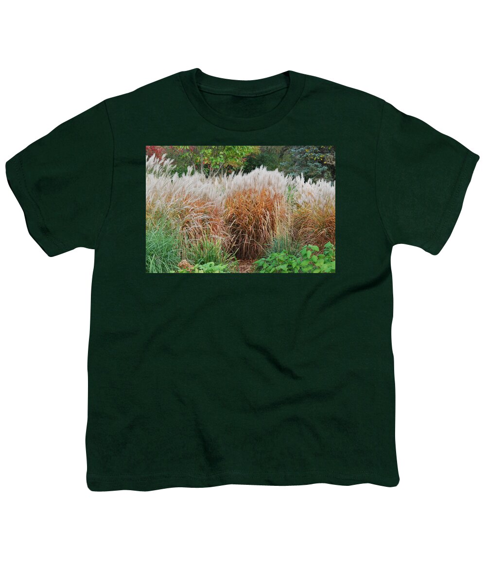 Ornamental Grasses Youth T-Shirt featuring the photograph Ornamental Grass #1 by Ee Photography