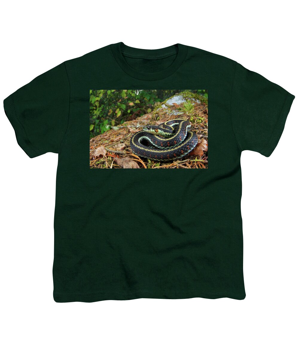 Disk1045 Youth T-Shirt featuring the photograph Puget Sound Garter Snake by James Christensen