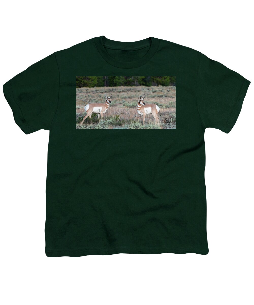 Animals Youth T-Shirt featuring the photograph Double Trouble #2 by Sandra Bronstein