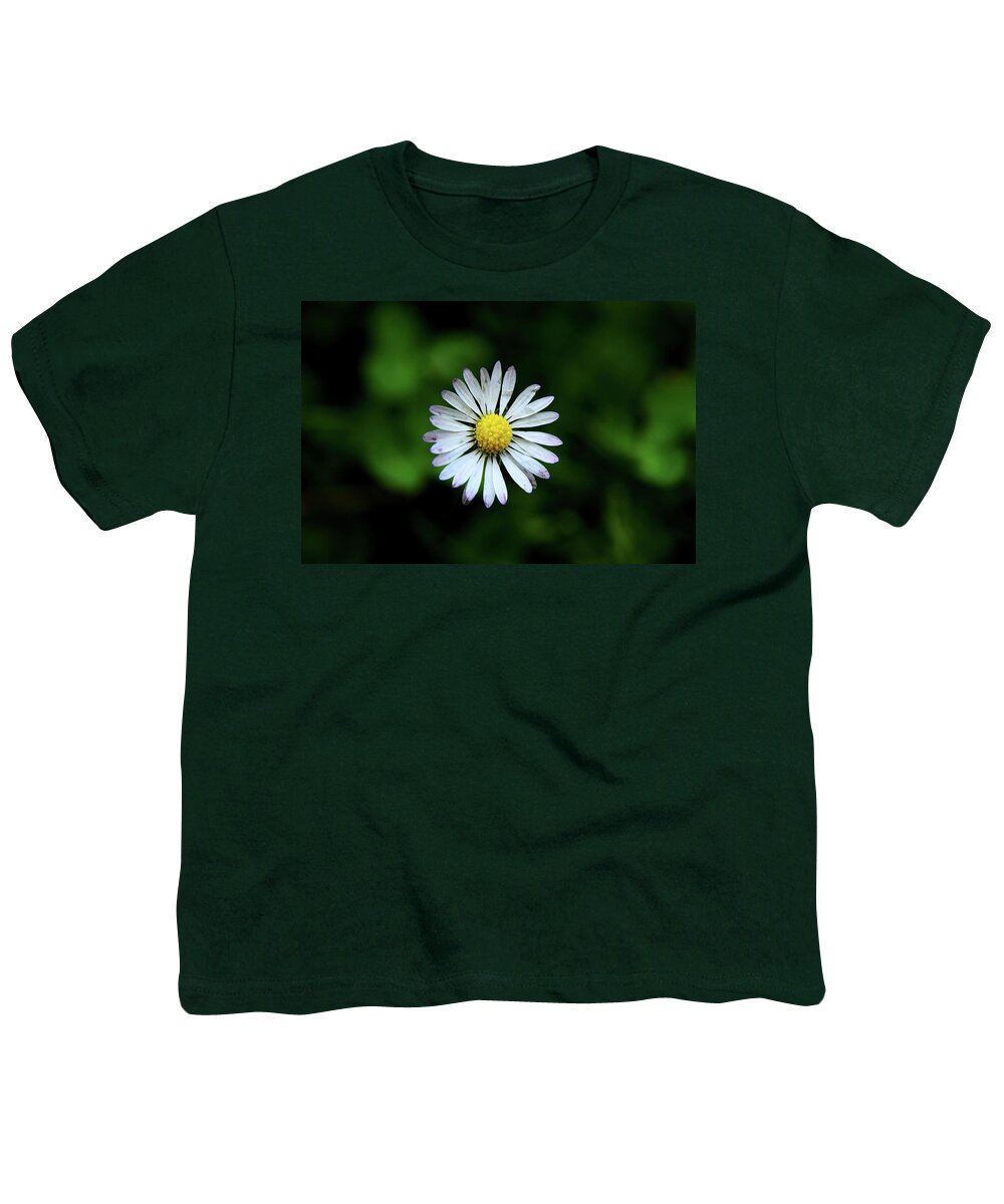 Bellis Perennis Youth T-Shirt featuring the photograph Beautiful Bellis Perennis in grass by Vaclav Sonnek