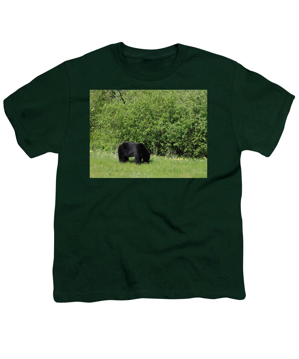 Alaska Highway Black Bear British Columbia Youth T-Shirt featuring the photograph Alaska Highway Black Bear 2008061702398 by Robert Braley