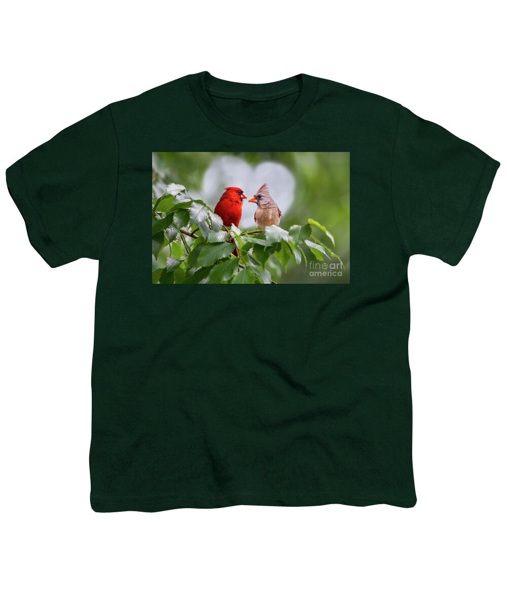 Cardinals Youth T-Shirt featuring the photograph Cardinal Love by Bonnie Barry