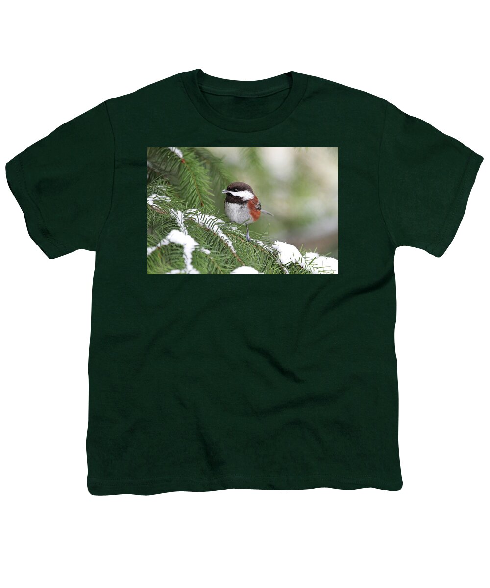 Chickadee Youth T-Shirt featuring the photograph Chickadee Eating Snow on a Pine Tree by Peggy Collins