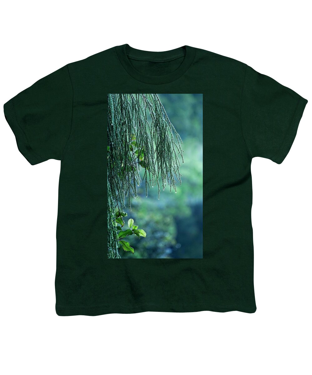 New Zealand Youth T-Shirt featuring the photograph Conifer Tree at Dawn, New Zealand by Steven Ralser