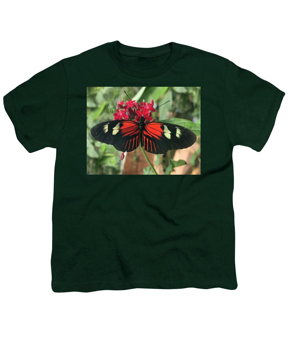 Doris Longway Butterfly Youth T-Shirt featuring the photograph Doris Longwing Butterfly in Ecuador by Matthew Bamberg