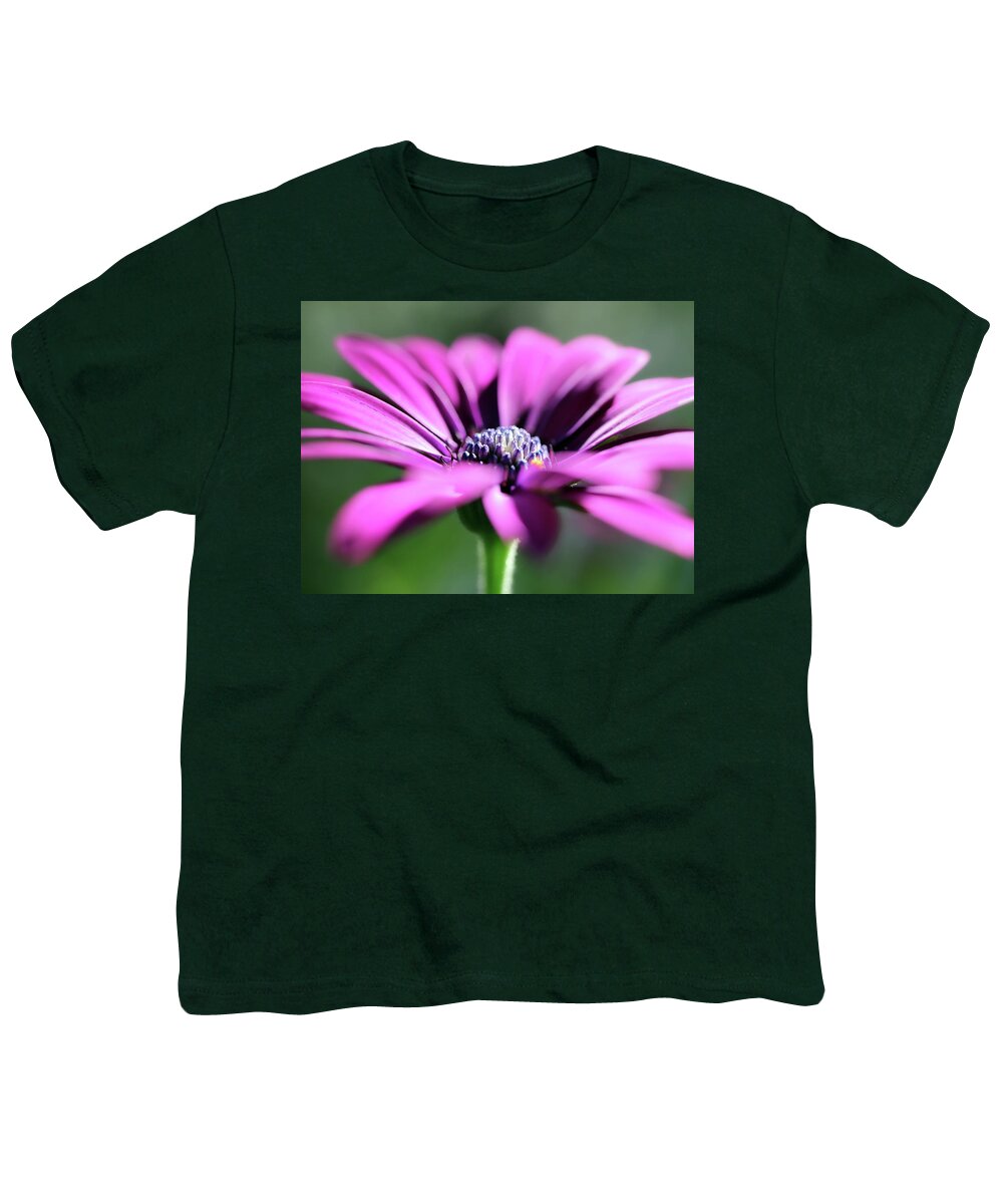 Daisy Youth T-Shirt featuring the photograph Purple Spanish Daisy by Johanna Hurmerinta