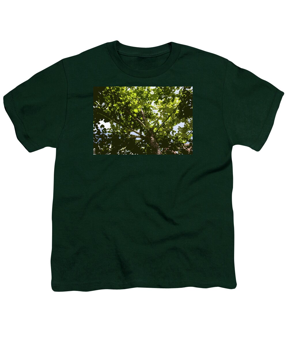 Photograph Youth T-Shirt featuring the photograph Sycamore Canopy II by Suzanne Gaff