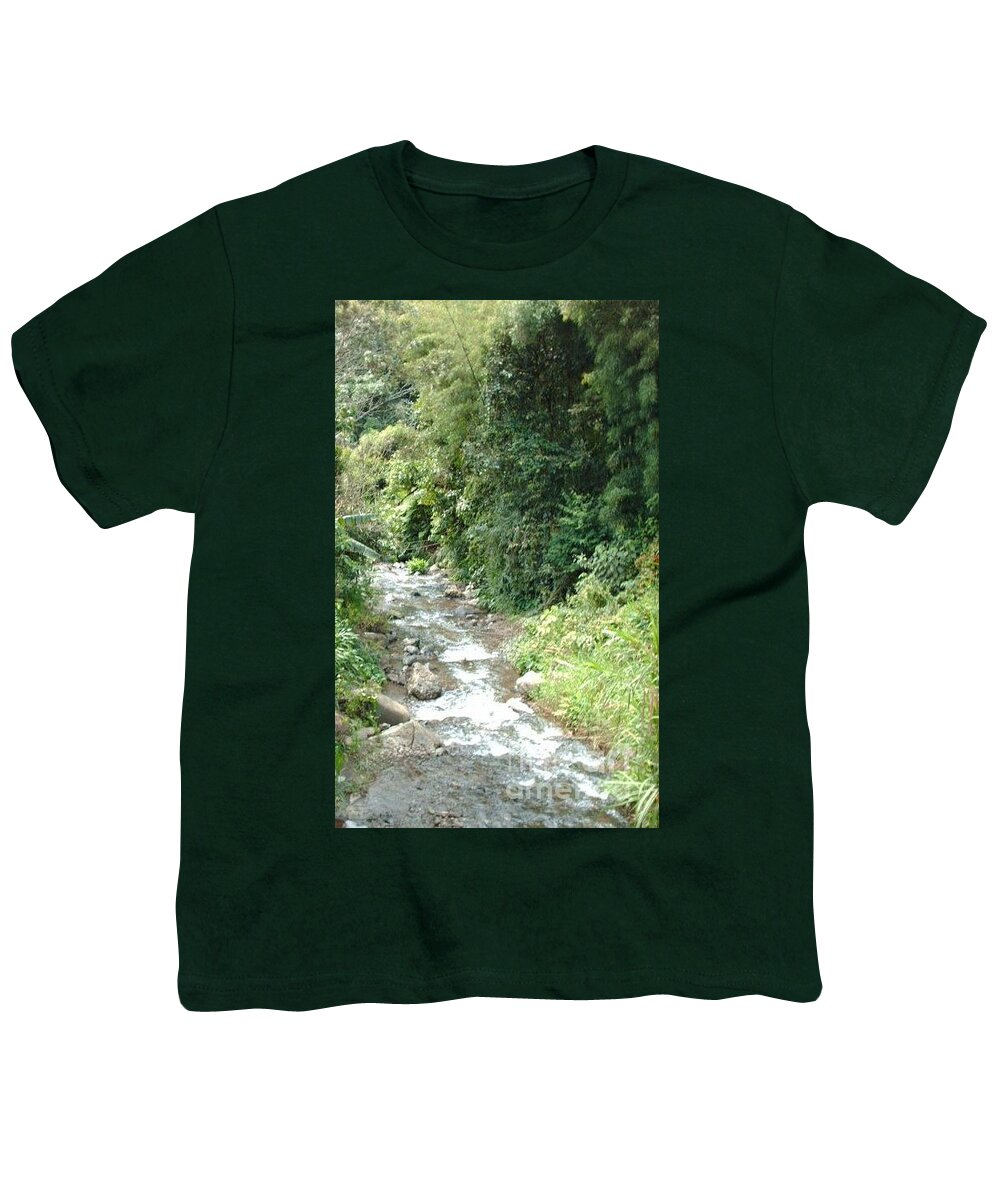 Trees Youth T-Shirt featuring the photograph Wild stream by Nancy Graham