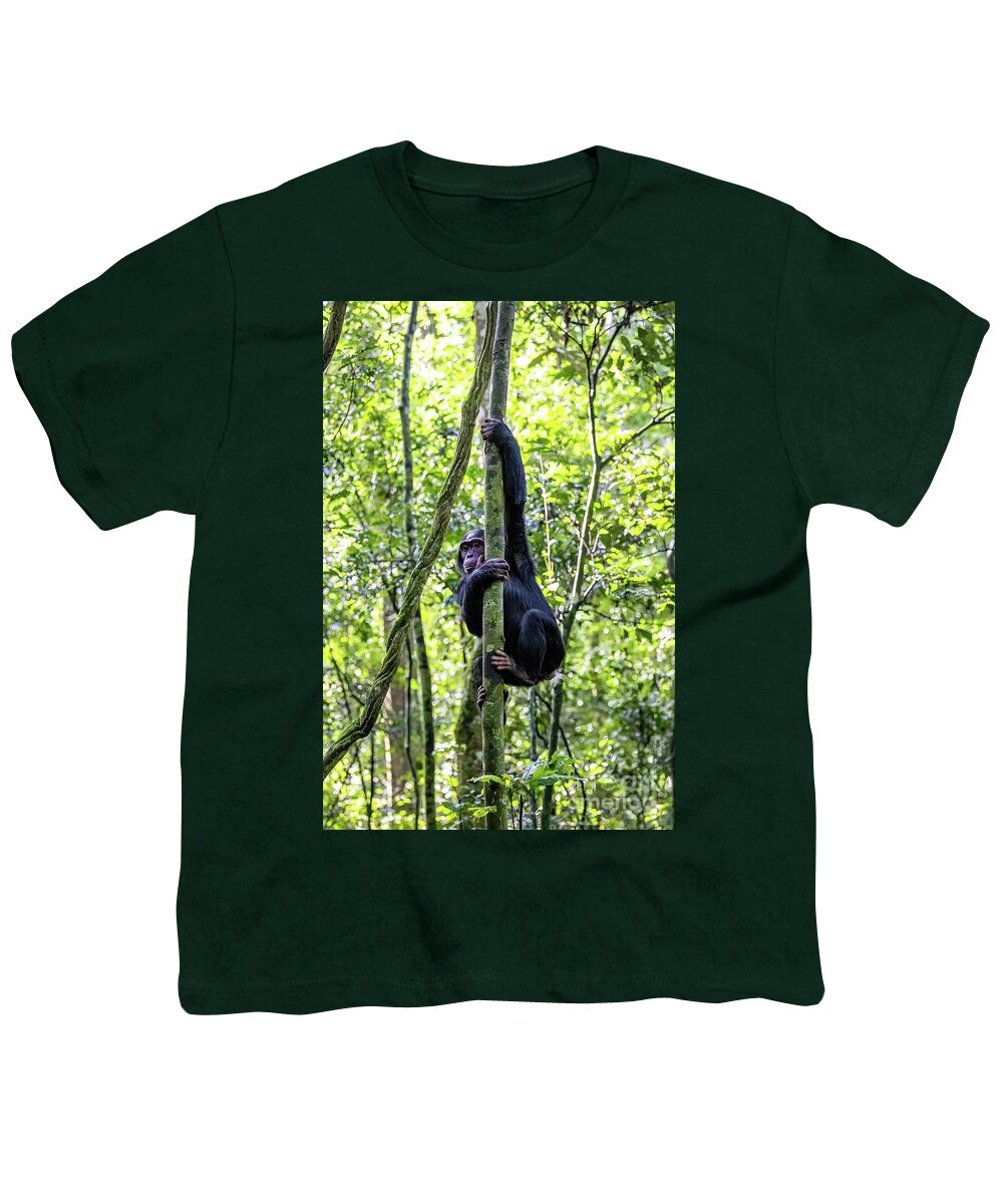 Chimpanzee Youth T-Shirt featuring the photograph Young chimpanzee by Jane Rix