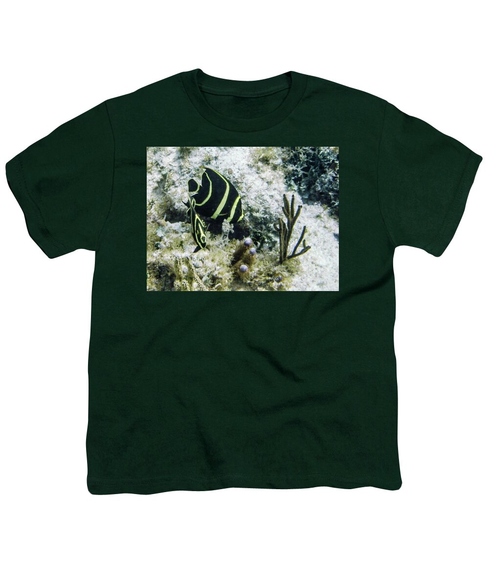 Animals Youth T-Shirt featuring the photograph Youngsters by Lynne Browne