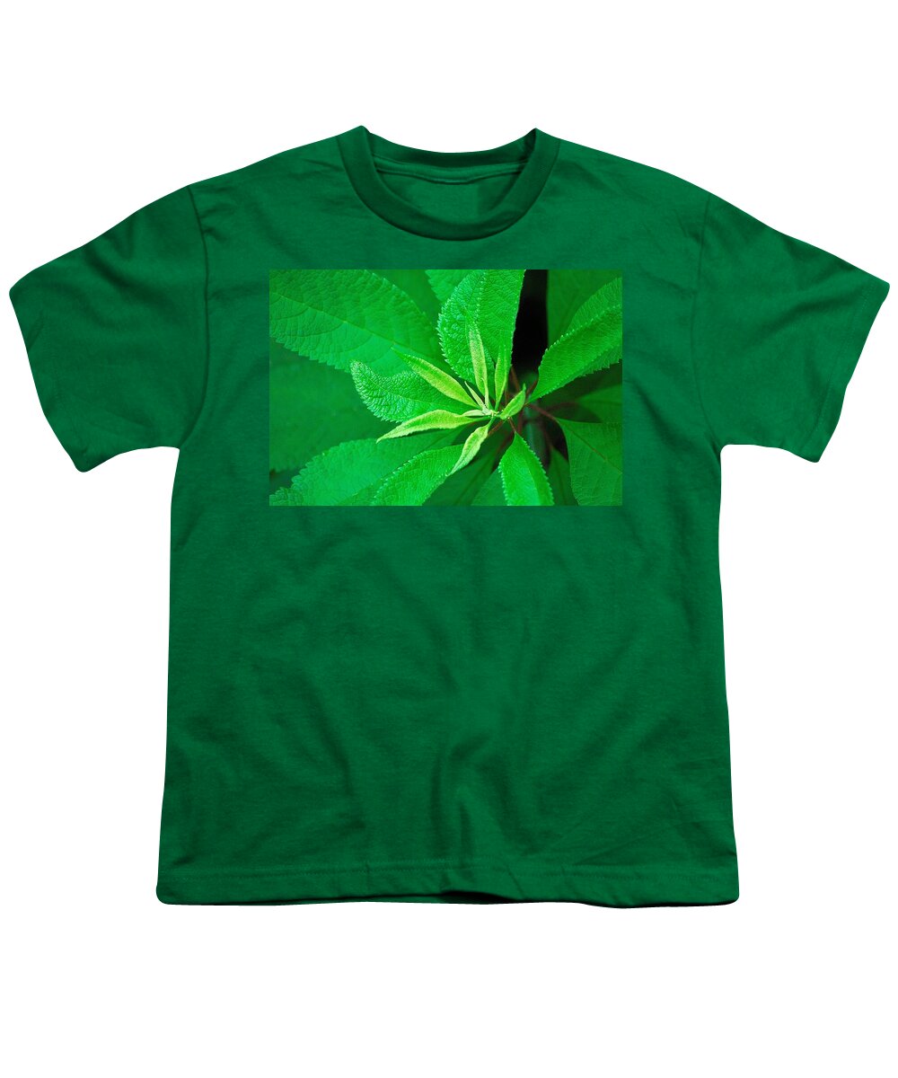 Green Youth T-Shirt featuring the photograph Green by Ludwig Keck