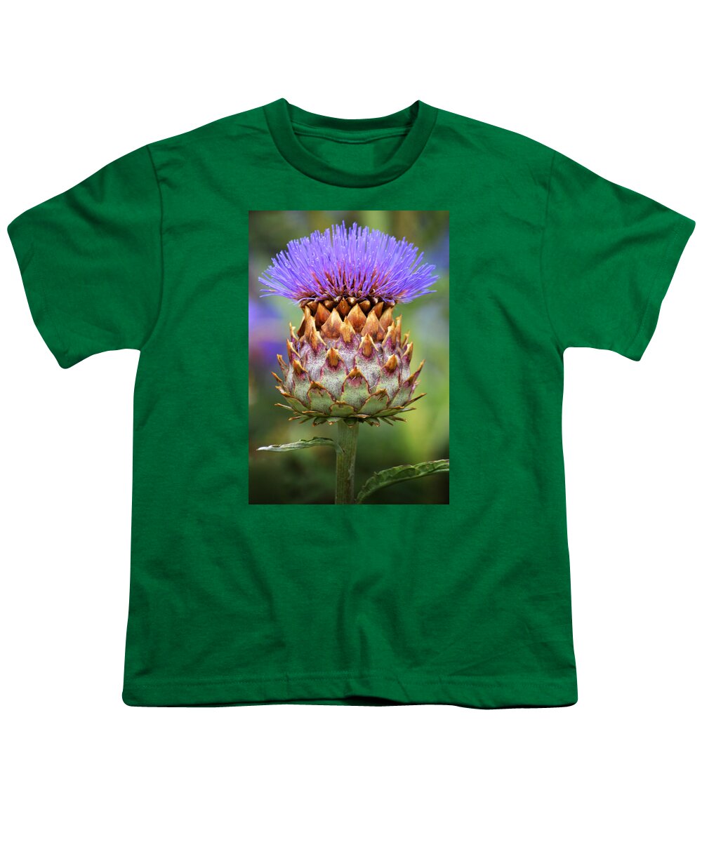 Globe Artichoke Youth T-Shirt featuring the photograph Cynara Cardunculus. by Terence Davis