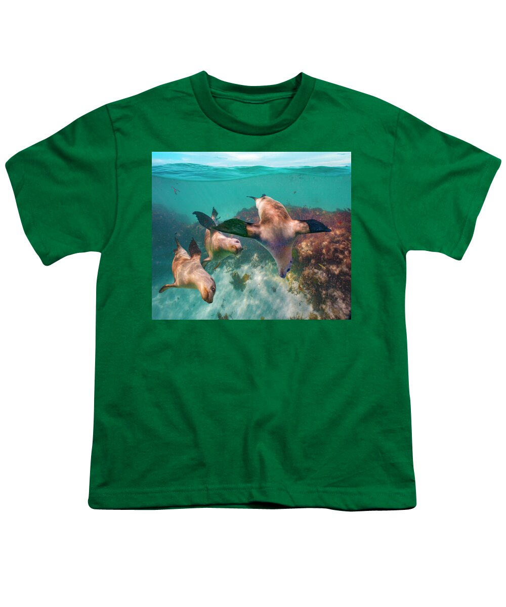 00586400 Youth T-Shirt featuring the photograph Australian Sea Lion Trio, Coral Coast, Australia by Tim Fitzharris