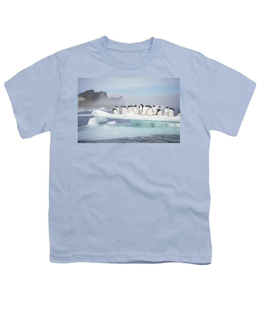 Feb0514 Youth T-Shirt featuring the photograph Adelie Penguins On Melting Ice Floe #1 by Tui De Roy