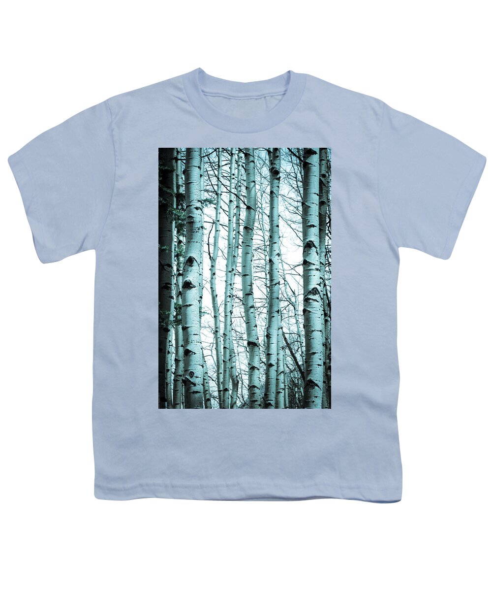 Aspen Youth T-Shirt featuring the photograph Aspen Blues by Debbie Karnes