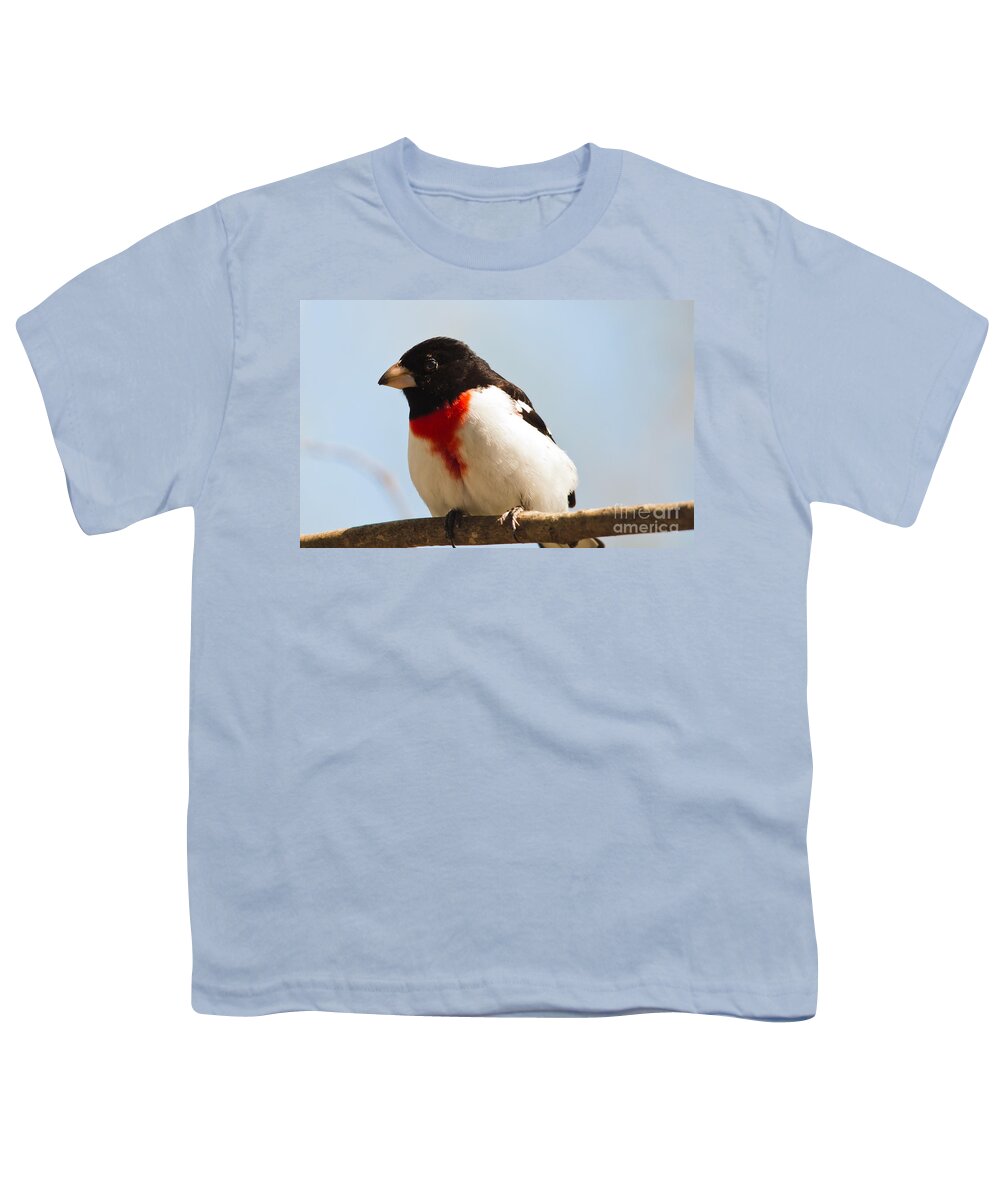 Rose-breasted Grosbeak Youth T-Shirt featuring the photograph Curious Fellow by Cheryl Baxter