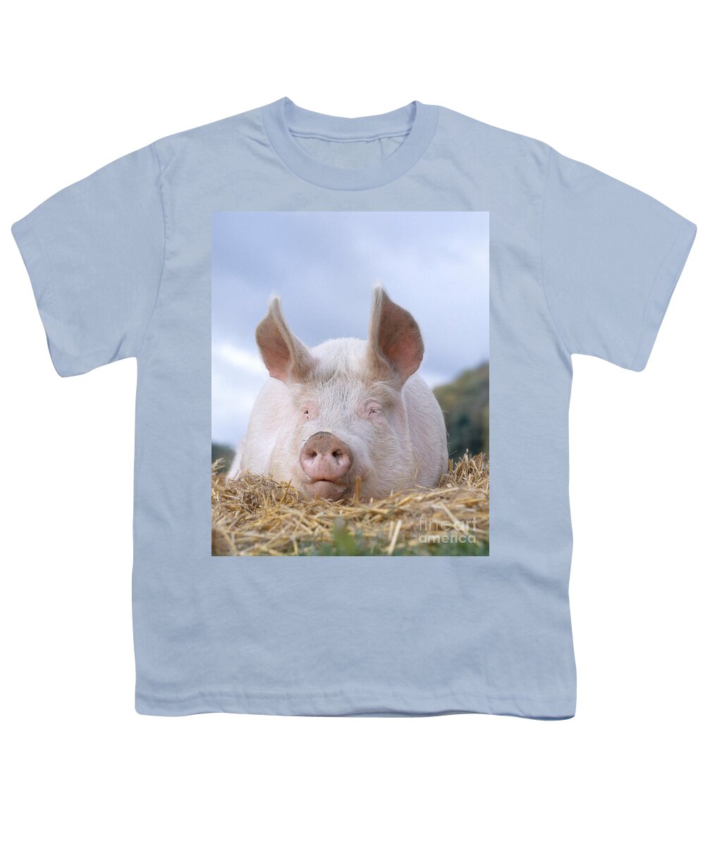 Pig Youth T-Shirt featuring the photograph Domestic Pig by Hans Reinhard