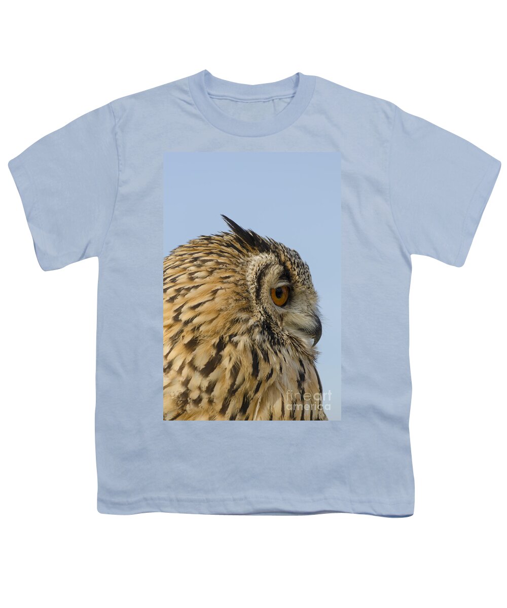 Owl Youth T-Shirt featuring the photograph Eagle owl looking right by Steev Stamford