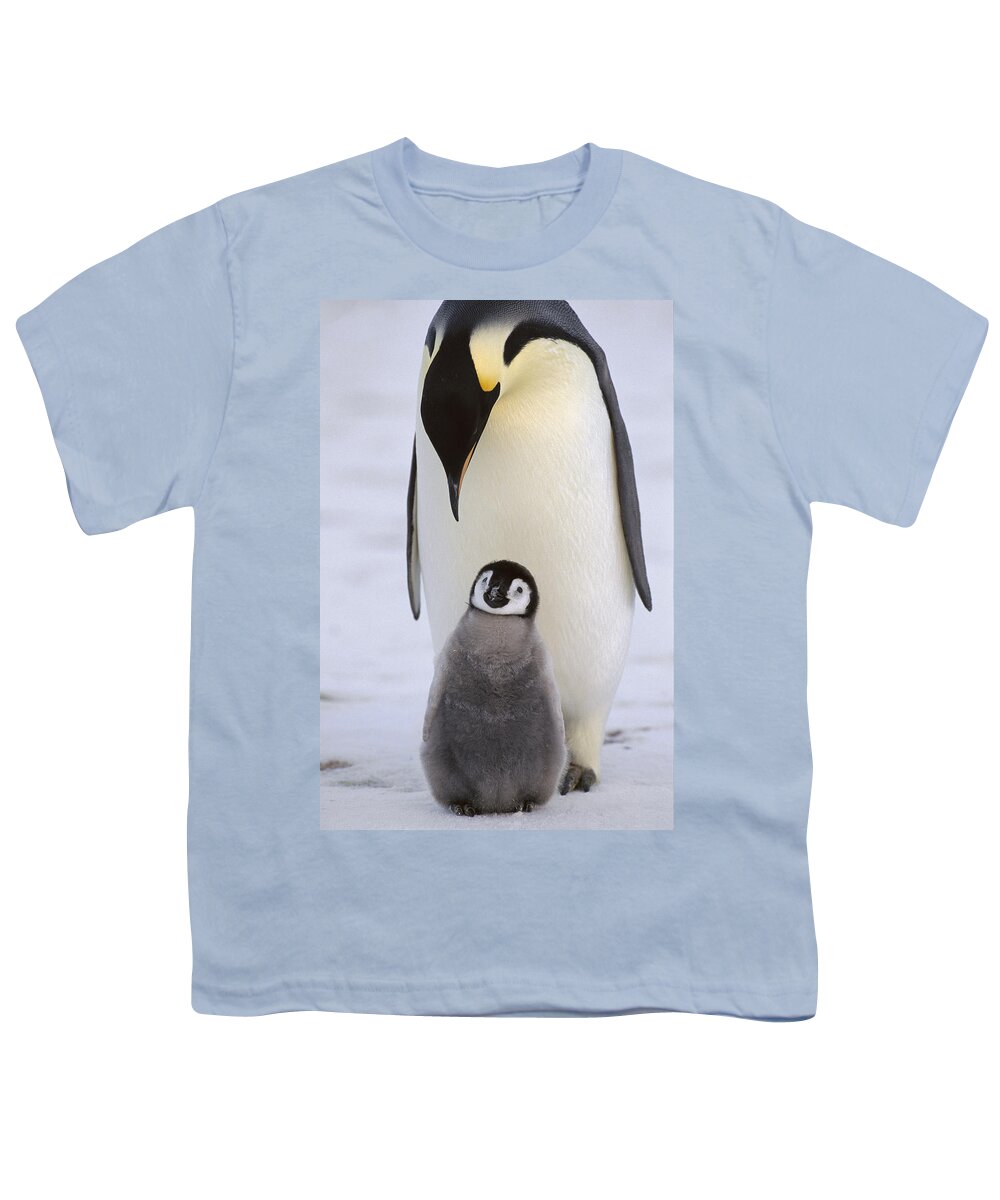 Feb0514 Youth T-Shirt featuring the photograph Emperor Penguin With Chick Antarctica by Konrad Wothe