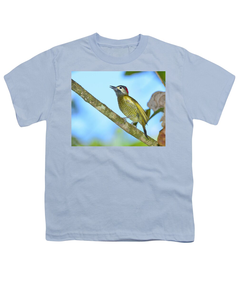 Golden-olive Woodpecker Youth T-Shirt featuring the photograph Golden Olive Woodpecker by Tony Beck