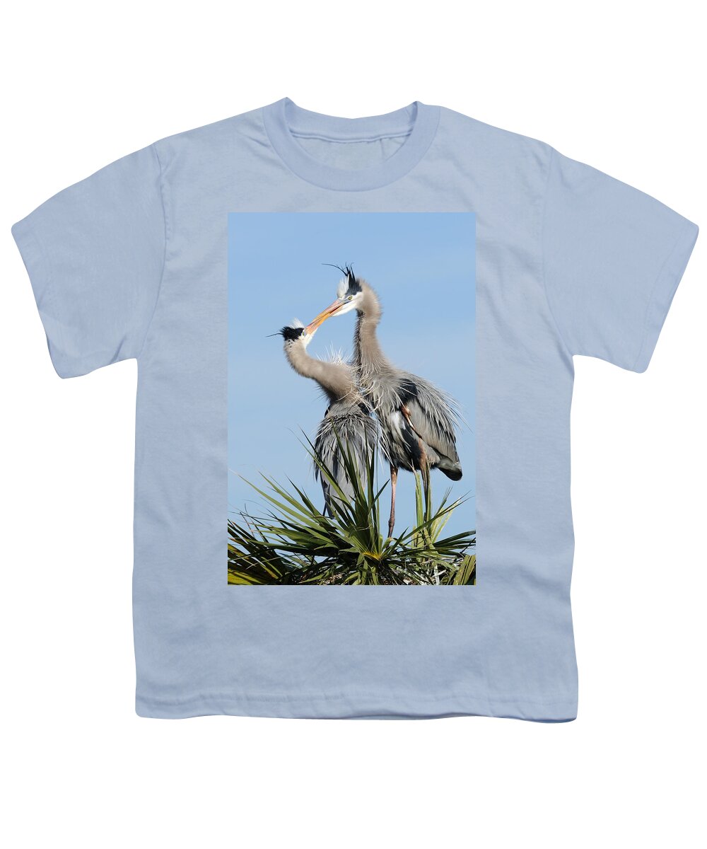 Great Blue Heron Youth T-Shirt featuring the photograph Great Blue Herons at Nest Kissing by Bradford Martin