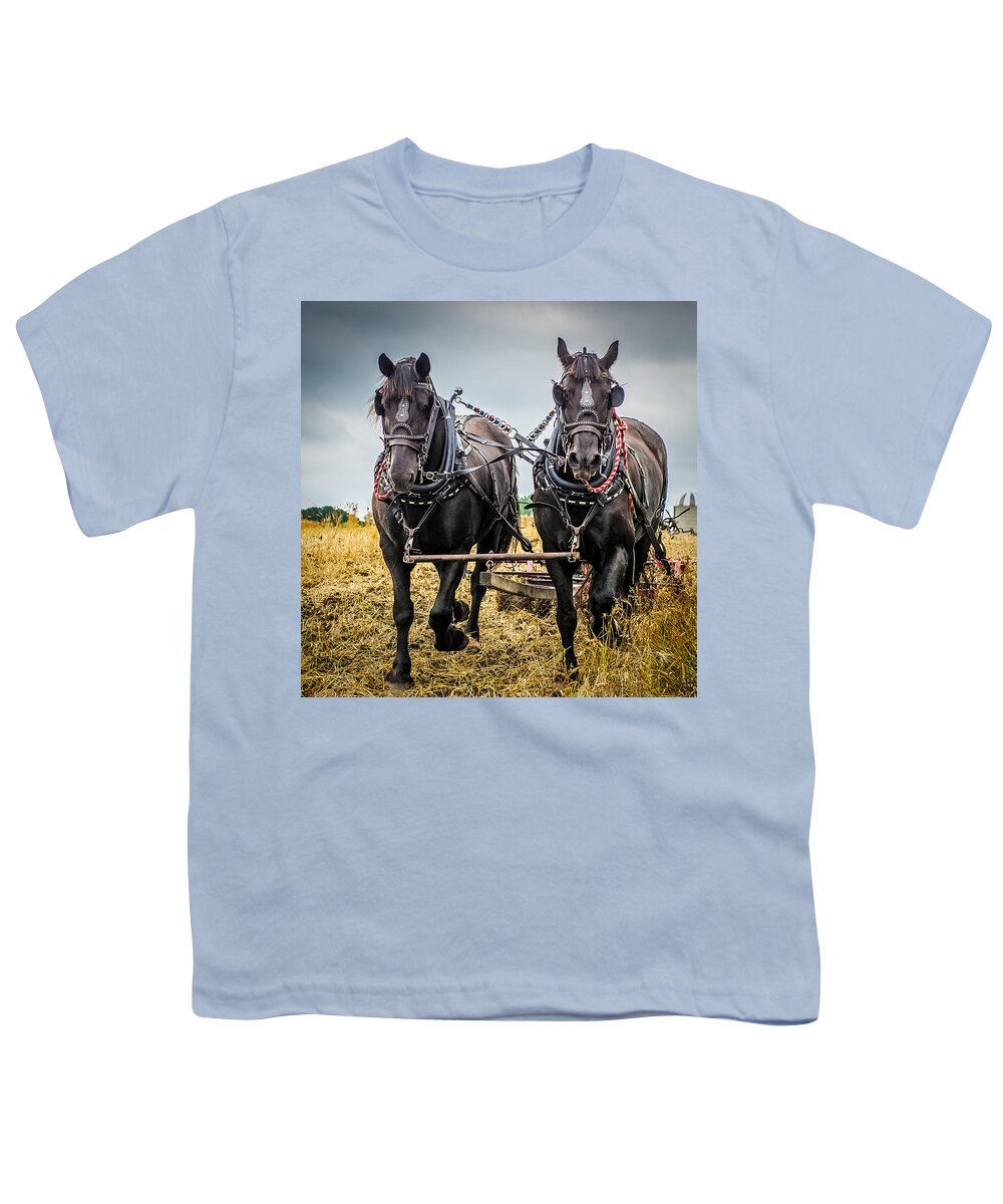 Portrait Youth T-Shirt featuring the photograph Horse Team by Paul Freidlund