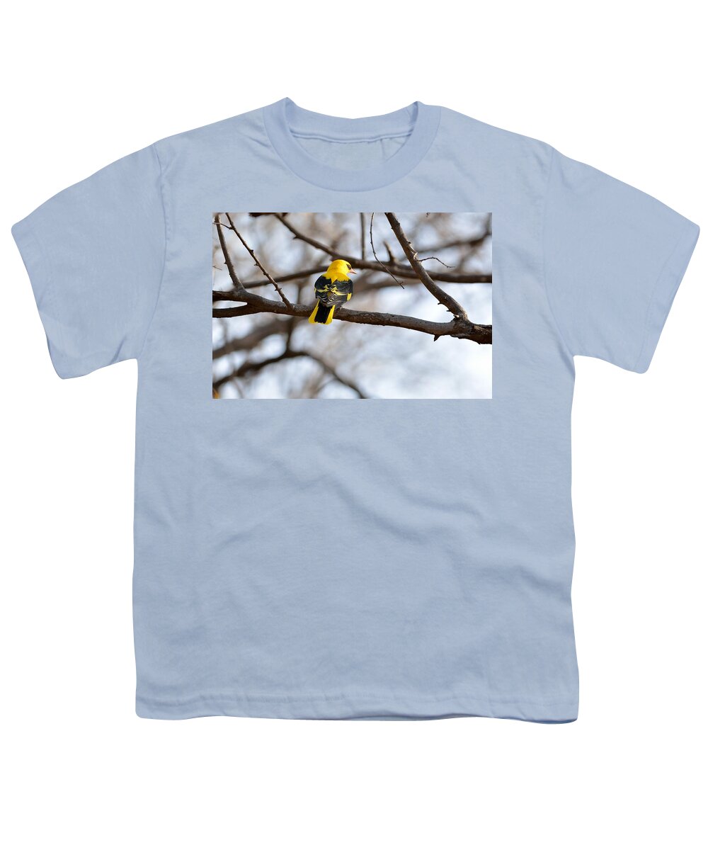 Indian Golden Oriole Youth T-Shirt featuring the photograph Indian Golden Oriole by Fotosas Photography