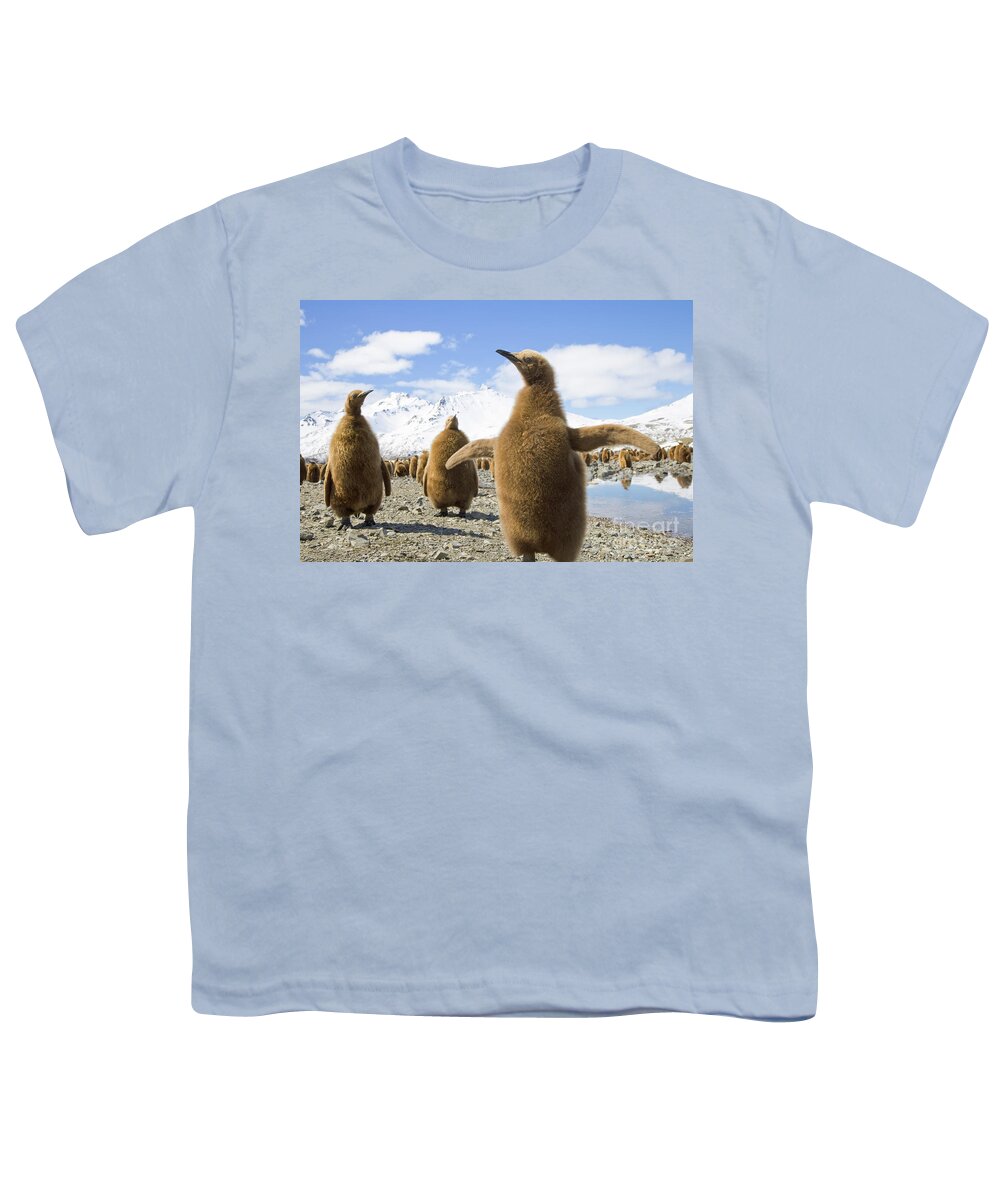 00345959 Youth T-Shirt featuring the photograph King Penguin Chicks by Yva Momatiuk and John Eastcott
