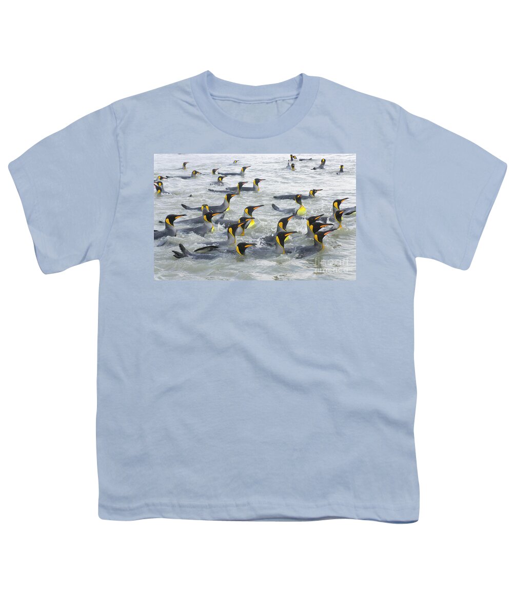 00345307 Youth T-Shirt featuring the photograph King Penguins Swimming S Georgia Island by Yva Momatiuk and John Eastcott