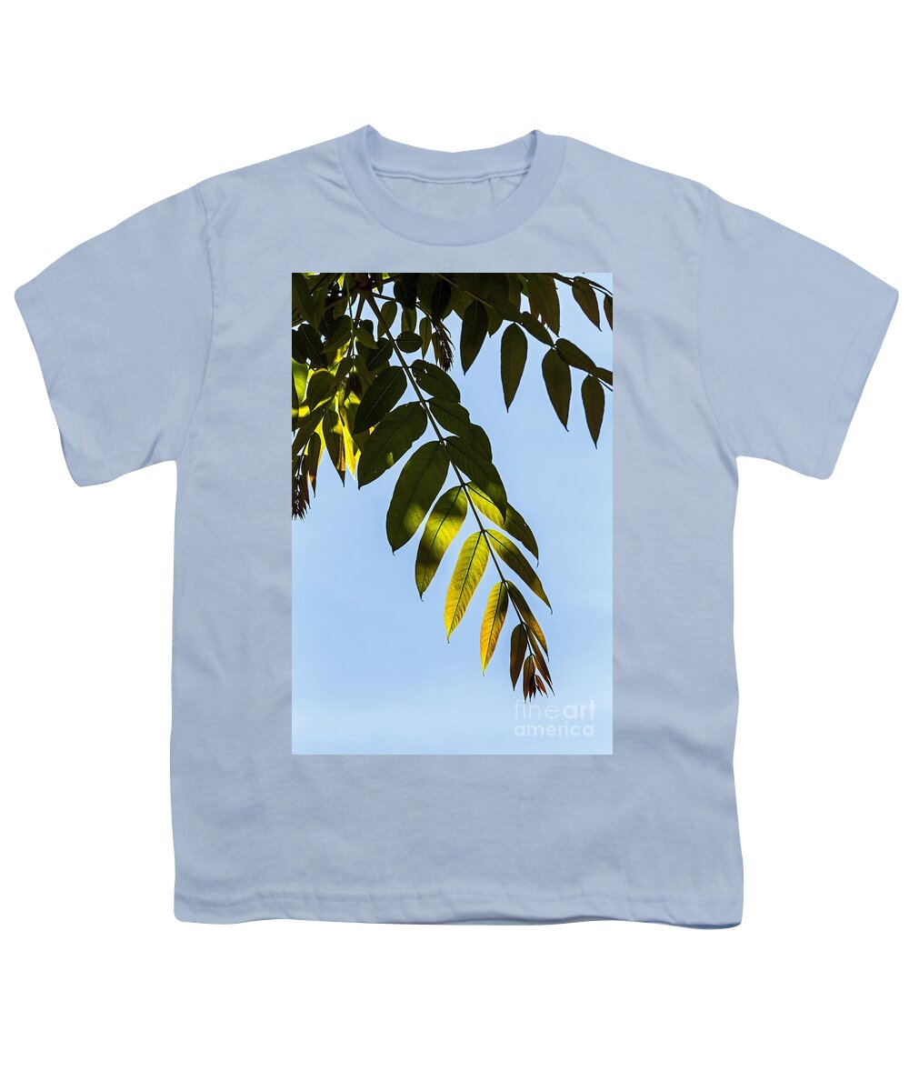 Botanical Garden Youth T-Shirt featuring the photograph Leaf Light by Kate Brown