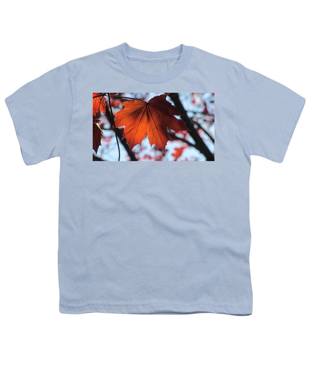 Leaf Youth T-Shirt featuring the photograph Leaves Backlit 2 by Anita Burgermeister