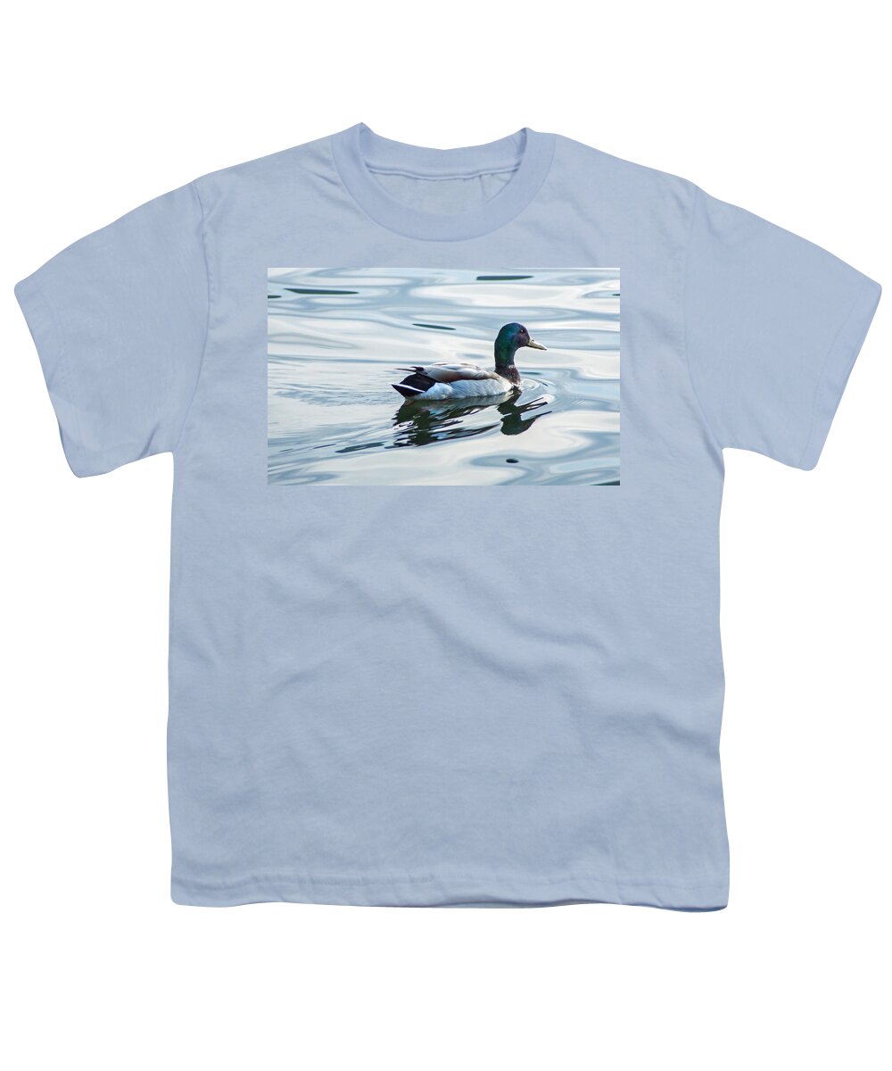 Mallard Youth T-Shirt featuring the photograph Mallard Duck on a Calm Lake by Photographic Arts And Design Studio