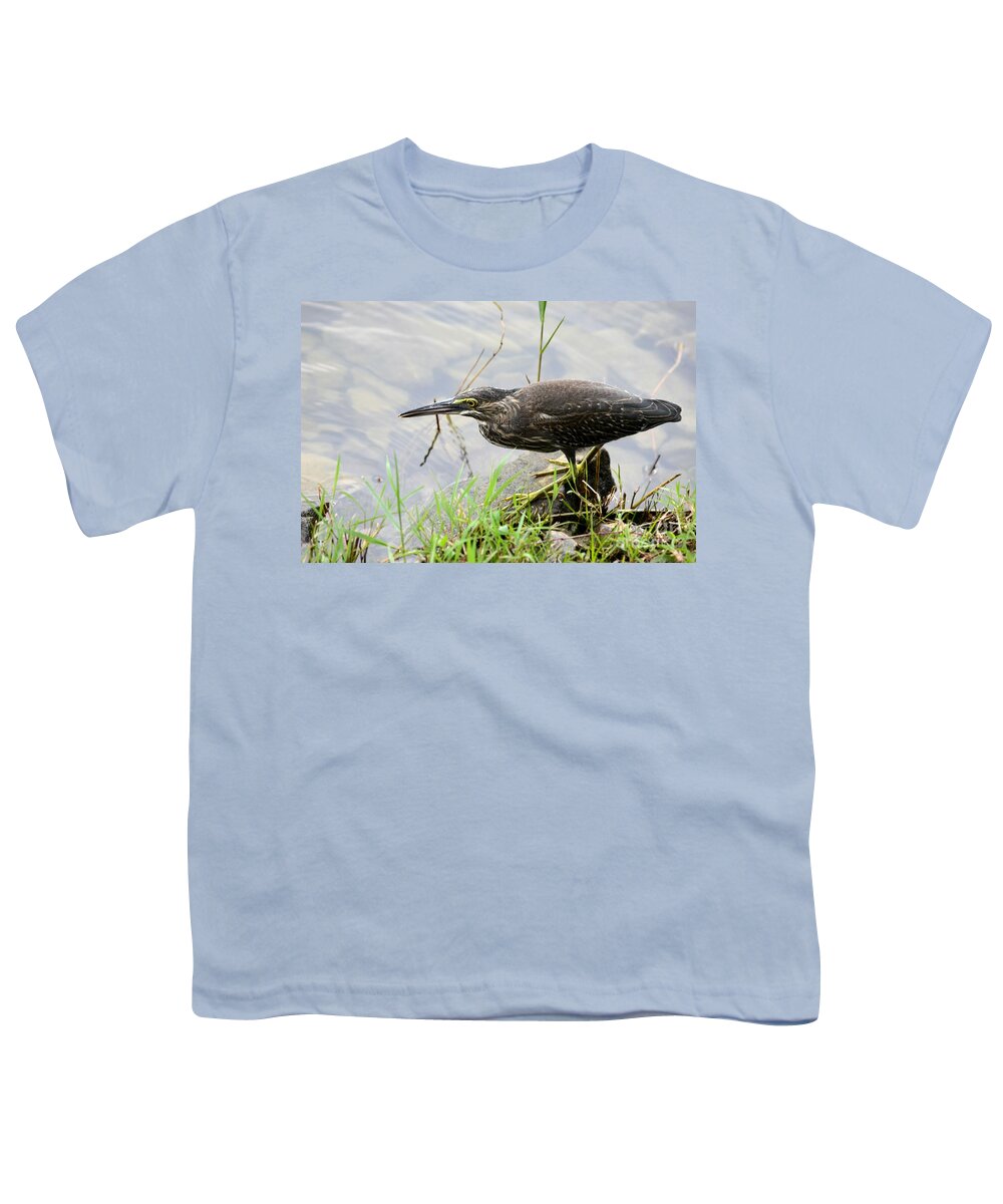 Heron Youth T-Shirt featuring the photograph Mangrove Heron bird walks by Singapore lake by Imran Ahmed