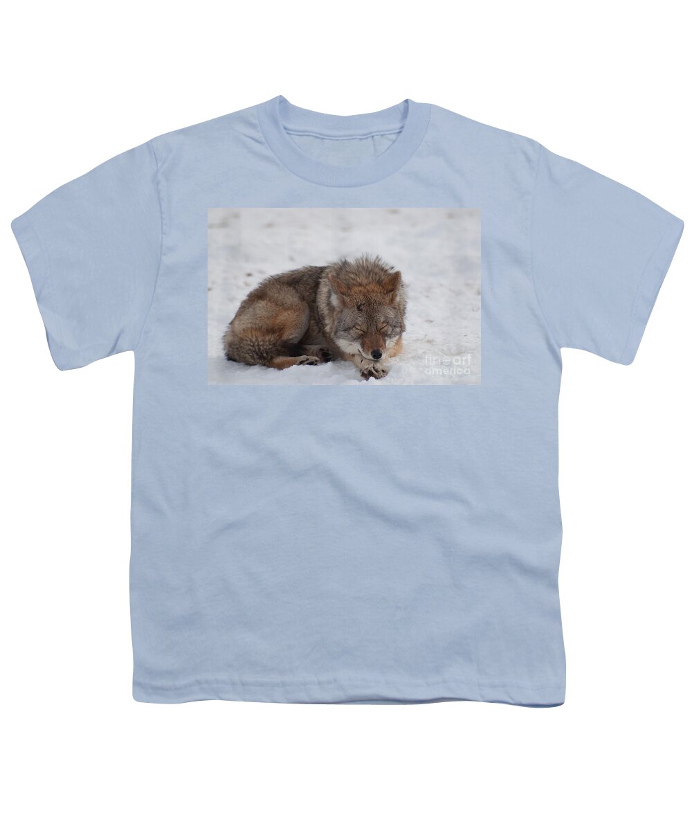 Coyote Youth T-Shirt featuring the photograph Nap Time by Bianca Nadeau