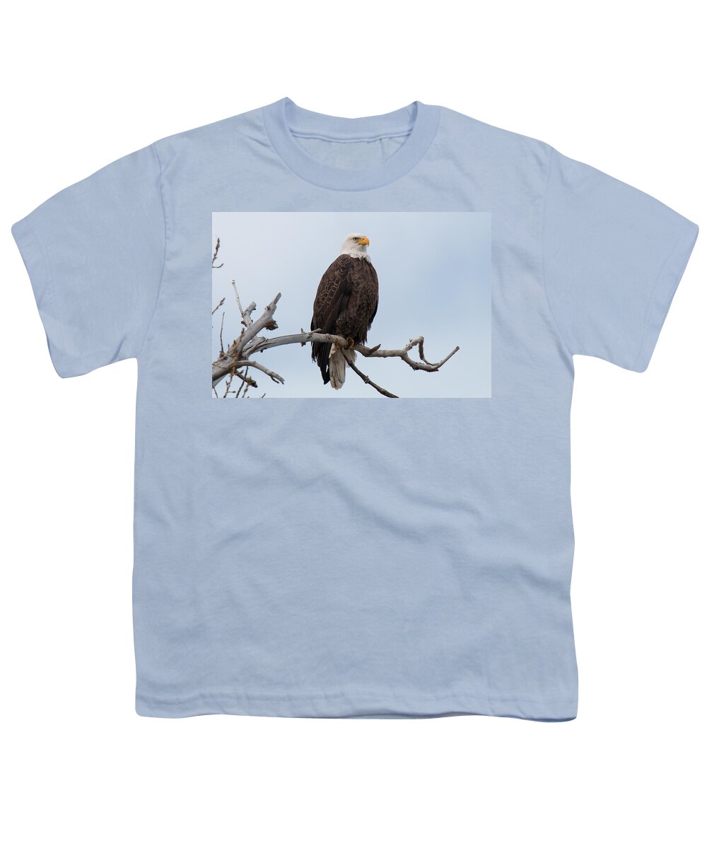Eagle Youth T-Shirt featuring the photograph Regal Bald Eagle by Tony Hake