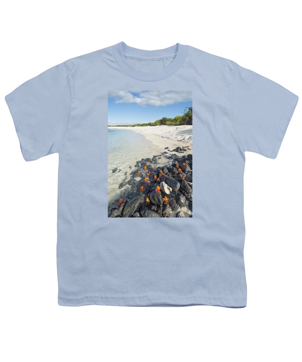 536822 Youth T-Shirt featuring the photograph Sally Lightfoot Crabs On Coastal Rocks by Tui De Roy