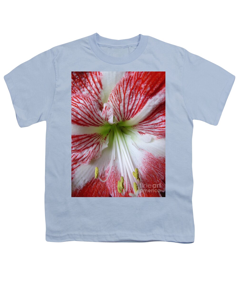 Amaryllis Youth T-Shirt featuring the photograph Splendor by Ella Kaye Dickey