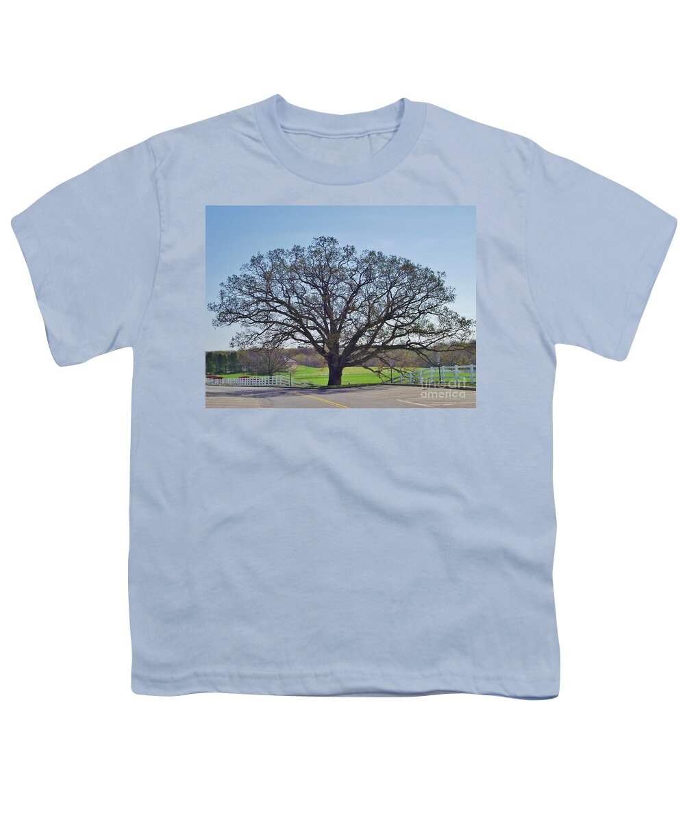 Horse Barn Hill At The University Of Connecticut Youth T-Shirt featuring the photograph UConn Oak in Spring by Michelle Welles
