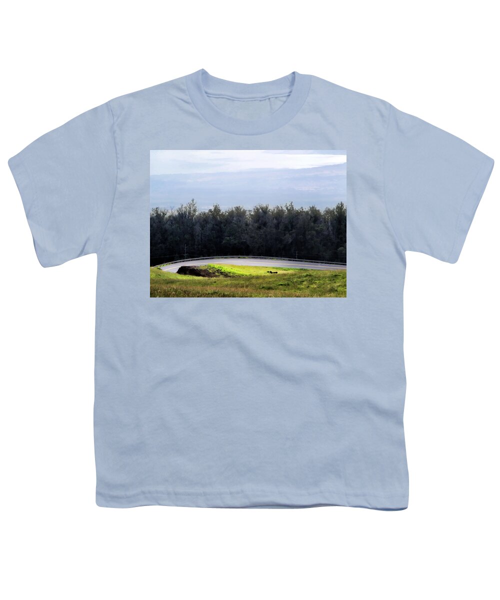 Hawaii Youth T-Shirt featuring the photograph Upcountry 4 by Dawn Eshelman