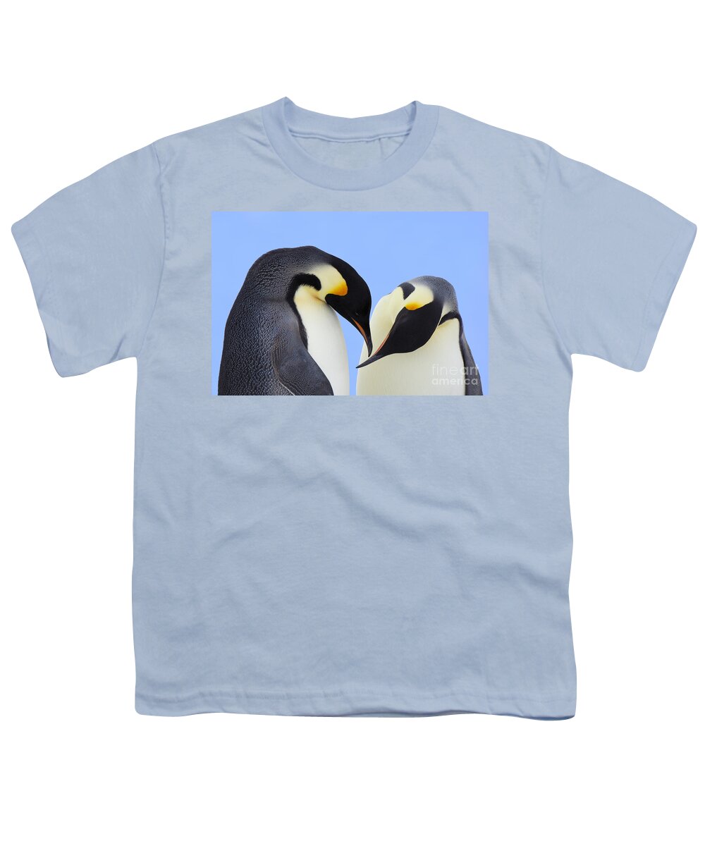 Mp Youth T-Shirt featuring the photograph Emperor Penguin Aptenodytes Forsteri #2 by Jan Vermeer