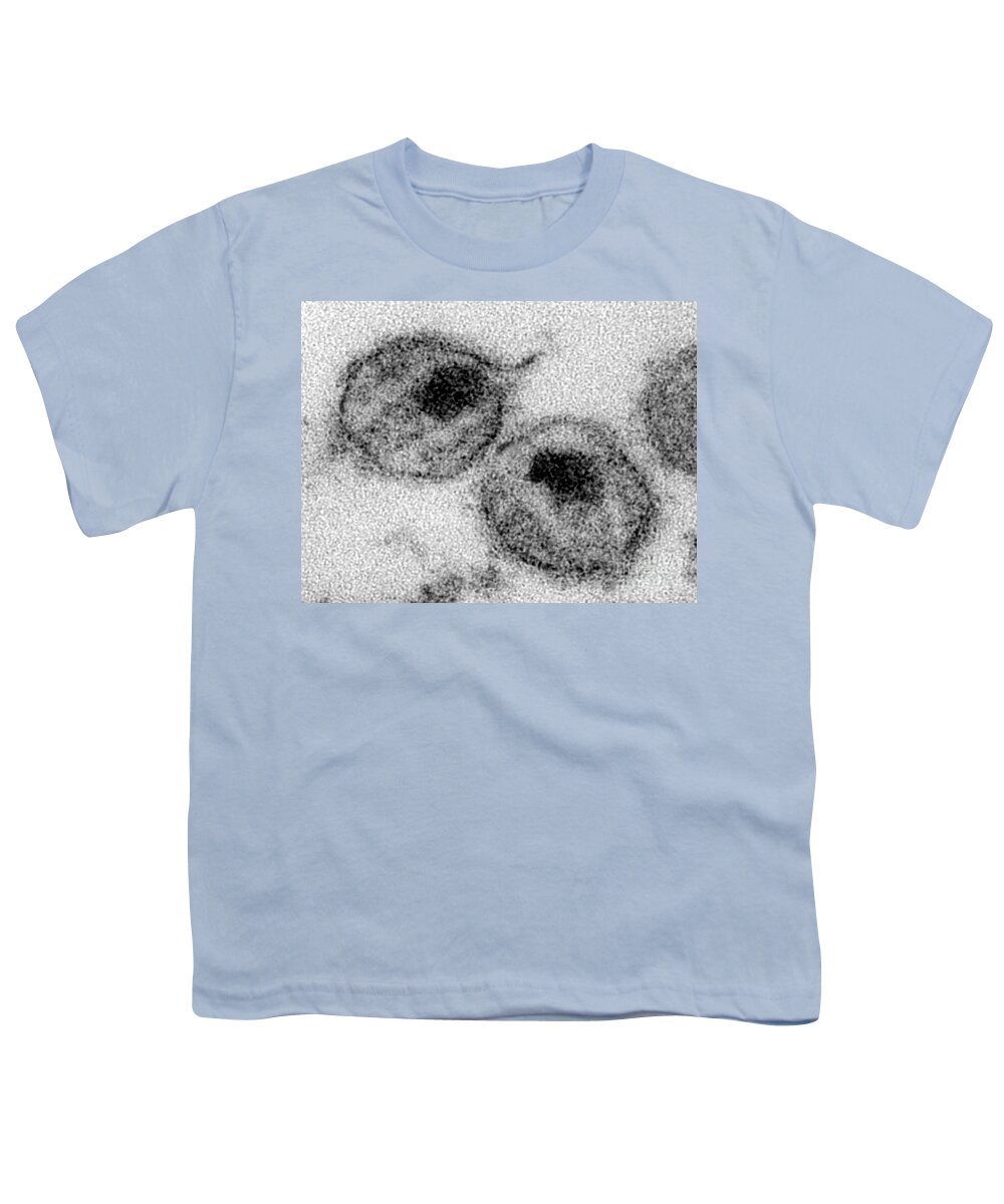 Transmission Electron Micrograph Youth T-Shirt featuring the photograph Hiv #5 by Science Source