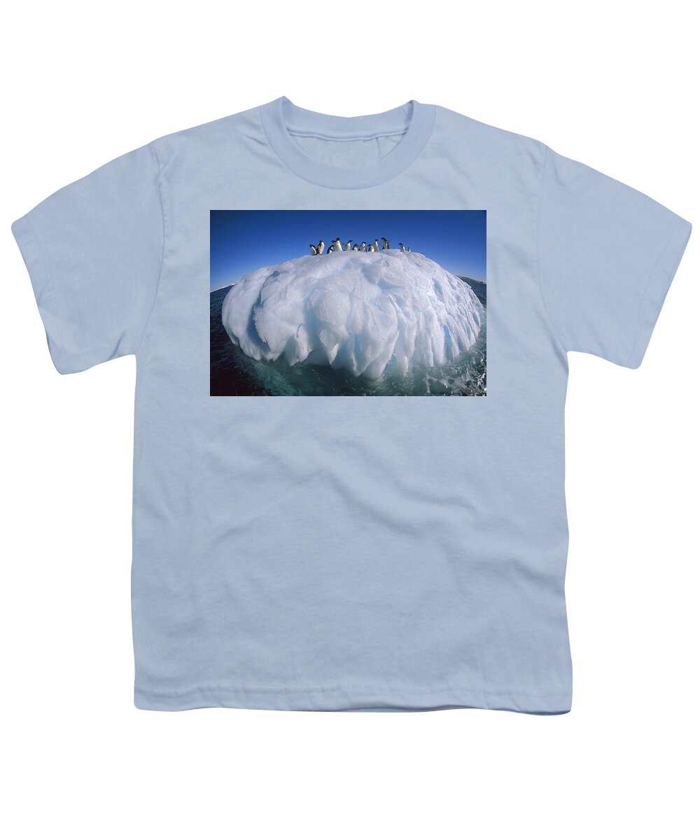 Hhh Youth T-Shirt featuring the photograph Adelie Penguin Pygoscelis Adeliae Group by Colin Monteath