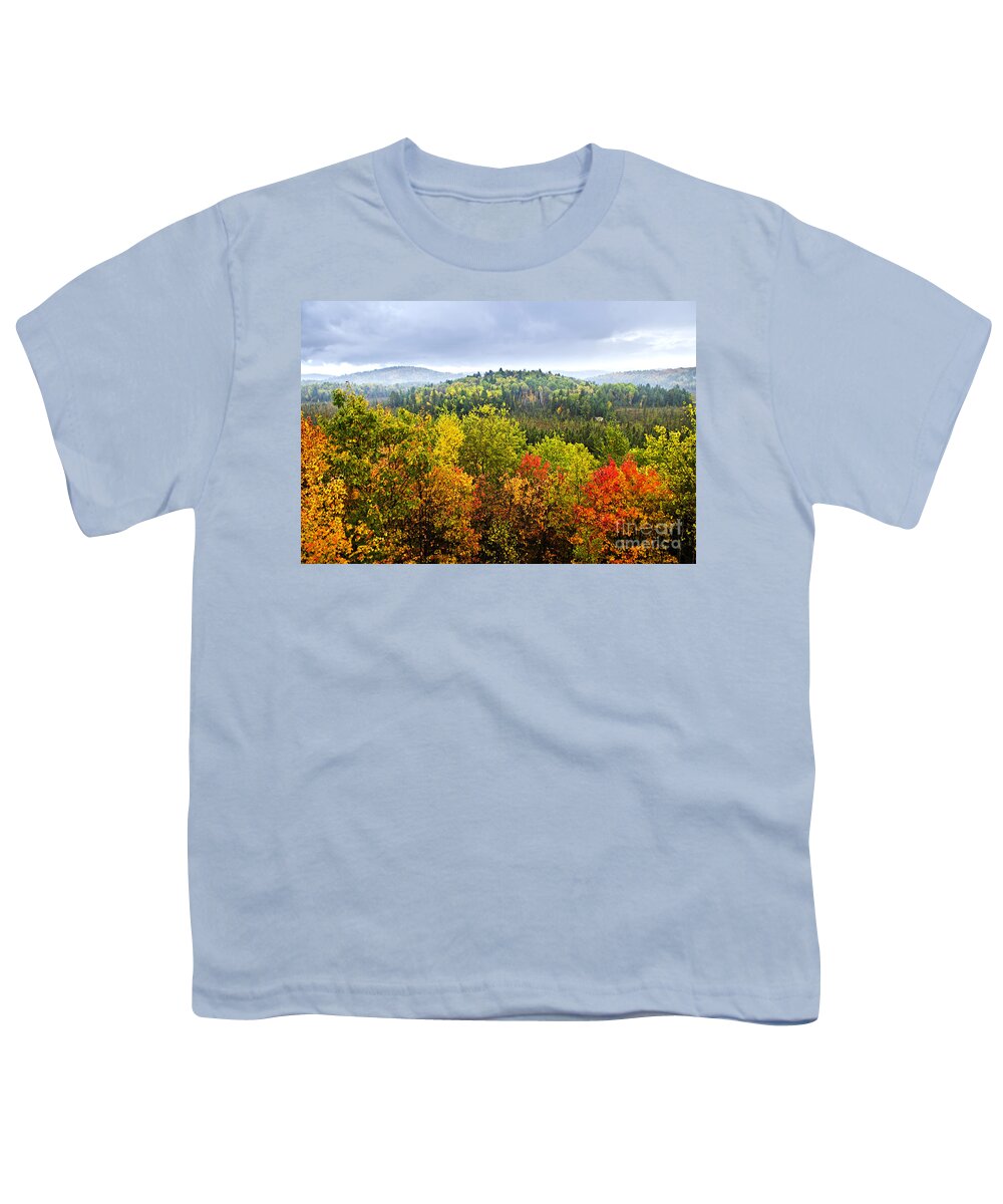 Autumn Youth T-Shirt featuring the photograph Fall forest on rainy day by Elena Elisseeva