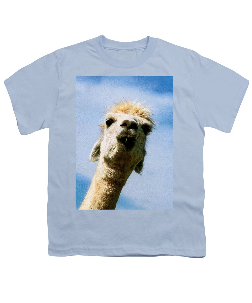 White Llama Youth T-Shirt featuring the photograph Llama by Jean Noren