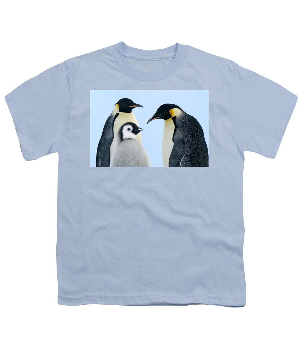 00285262 Youth T-Shirt featuring the photograph Emperor Penguin Aptenodytes Forsteri by Jan Vermeer