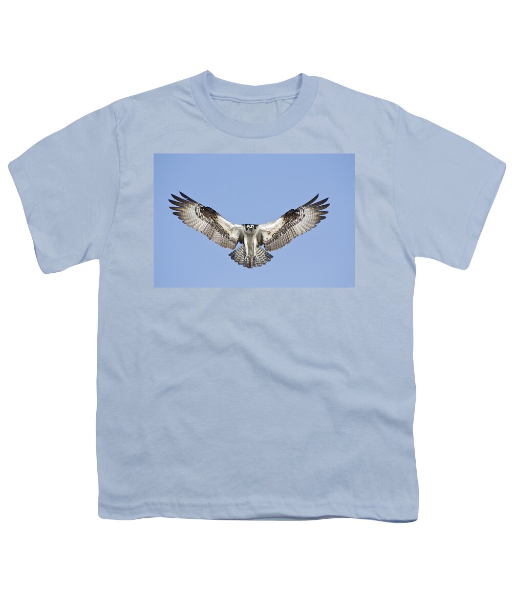 Osprey Youth T-Shirt featuring the photograph Osprey in Flight by Bob Decker