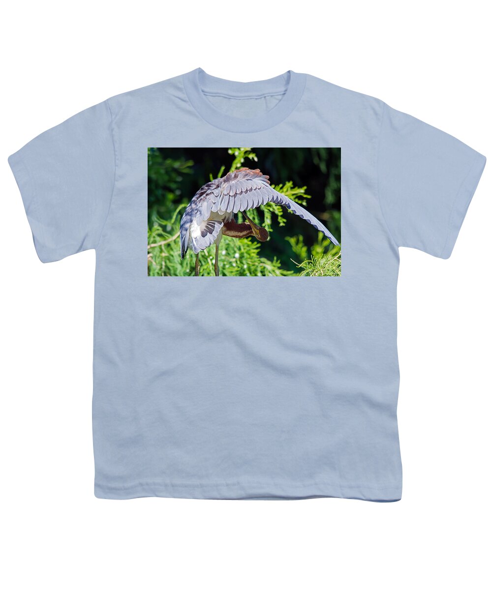 Wildlife Youth T-Shirt featuring the photograph Preening #2 by Kenneth Albin